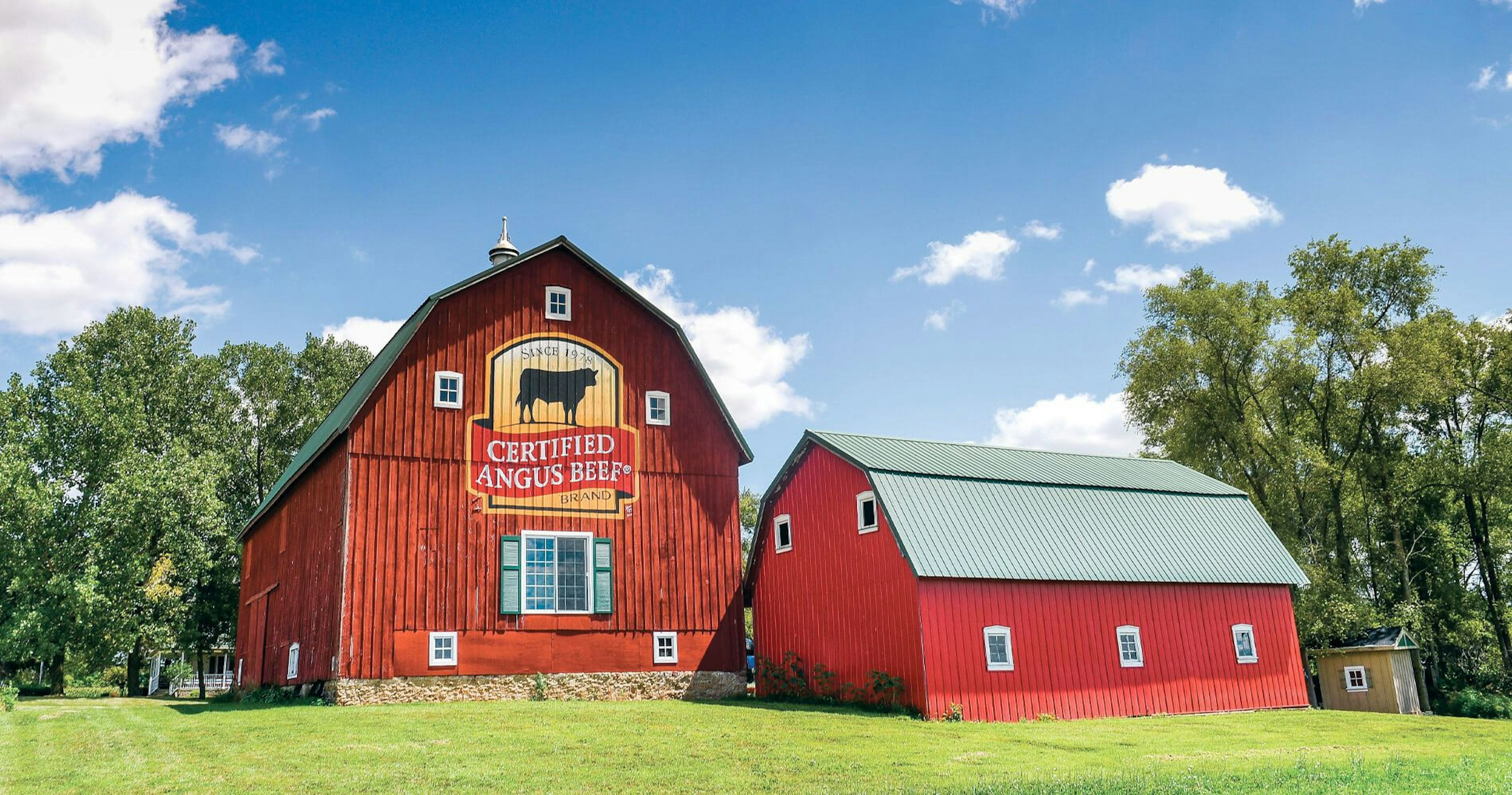 Brand the Barn Header