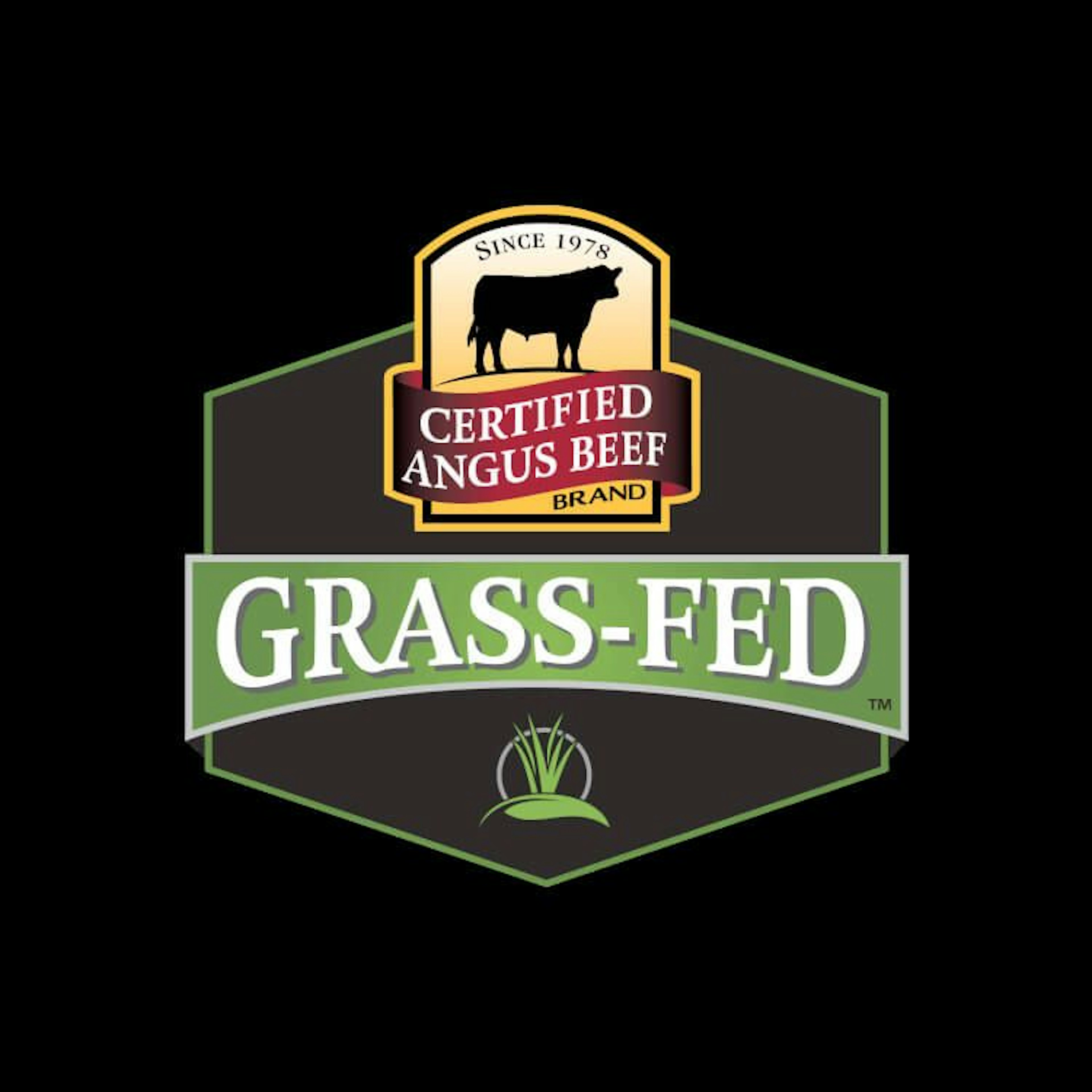 Certified Angus Beef ® brand Grass-Fed