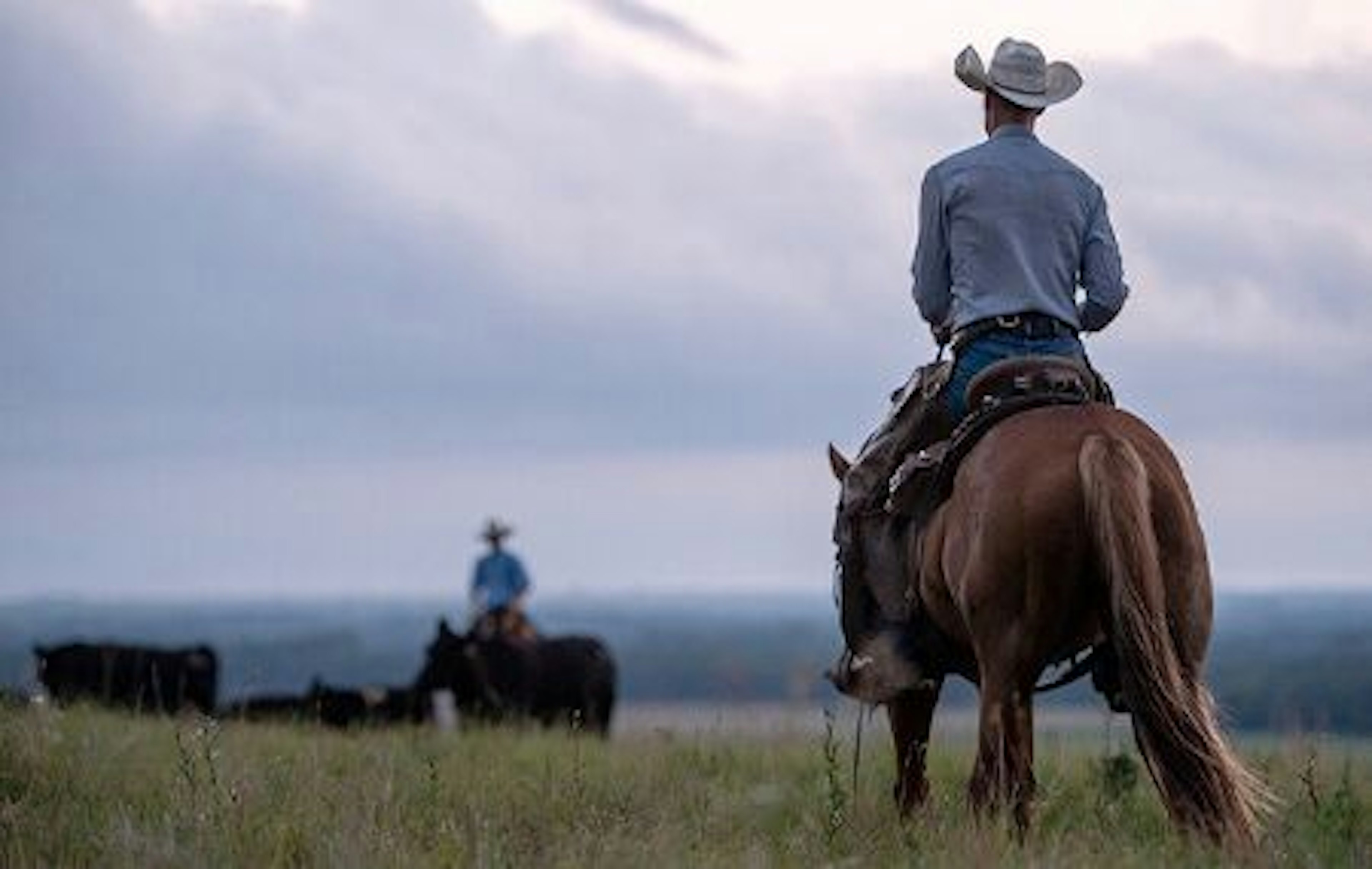 nutrition-rancher-perrier.jpg