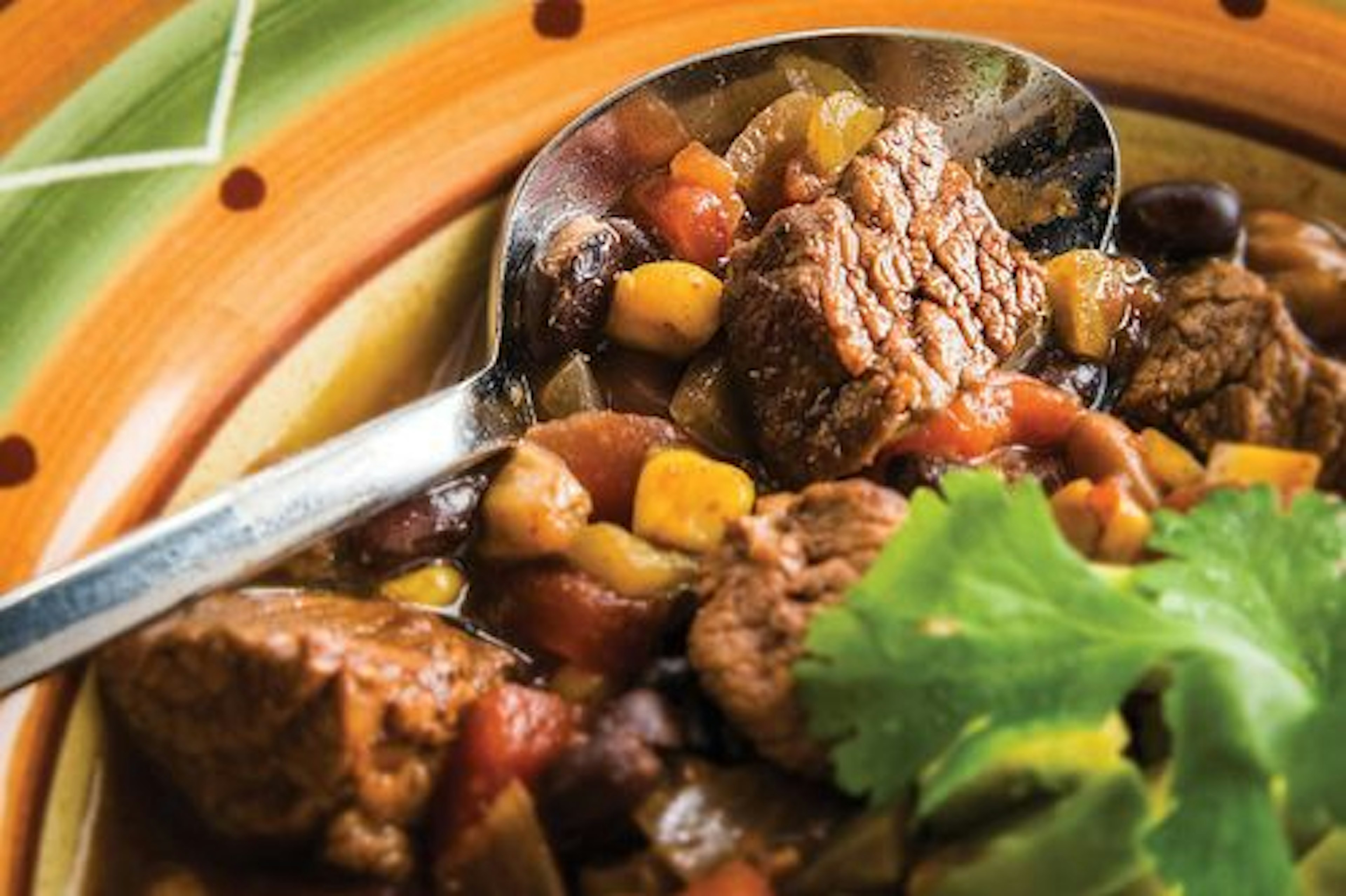 Southwestern Beef and Bean Stew