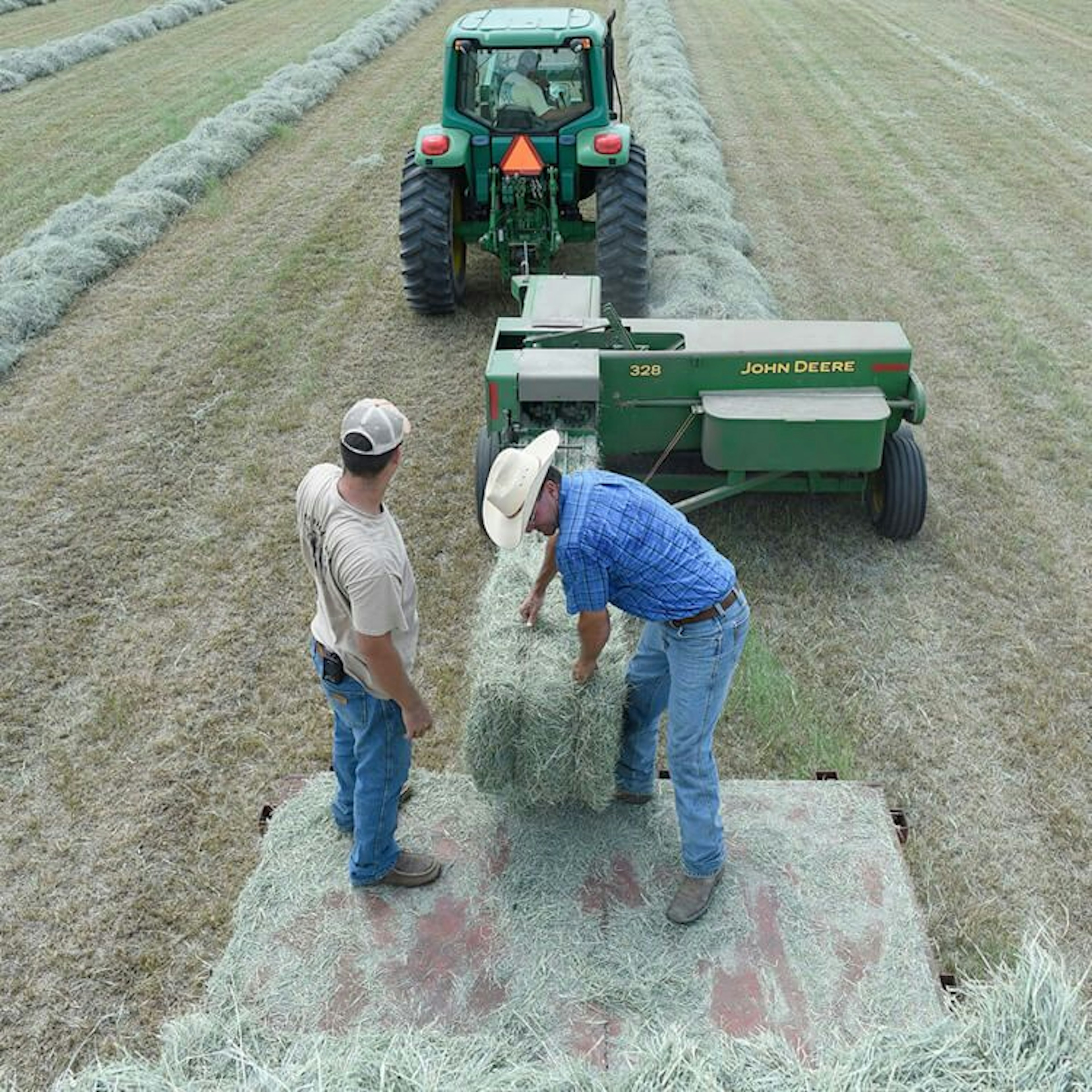 Yon Family Farms