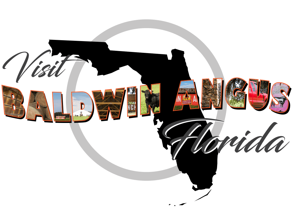 Baldwin Angus